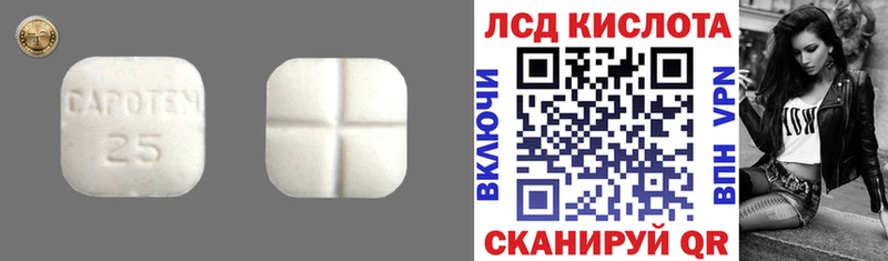 LSD-25 экстази ecstasy  маркетплейс состав  Новая Ладога  цены  