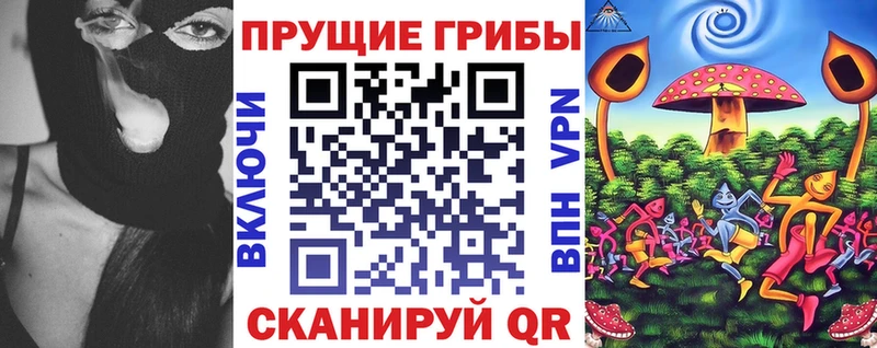 Псилоцибиновые грибы мухоморы  закладка  Новая Ладога 